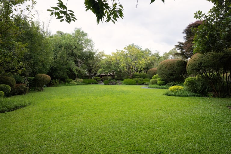 Espacio verde con jardín y plantas exuberantes